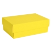 Коробка картонная, "COLOR" 11,5*6*17 см; желтый, желтый, картон