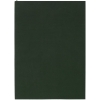 Ежедневник Flat, недатированный, зеленый, зеленый, soft touch