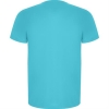Спортивная футболка IMOLA мужская, БИРЮЗОВЫЙ 3XL, бирюзовый