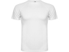 Спортивная футболка «Montecarlo» мужская, белый, полиэстер