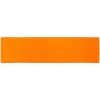 Лейбл тканевый Epsilon, S, оранжевый неон, оранжевый, полиэстер