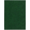 Ежедневник Flap, недатированный, зеленый, зеленый, кожзам