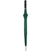 Зонт-трость Alu Golf AC, зеленый, зеленый, купол - эпонж, 190t; рама - металл; спицы - стеклопластик; ручка - эва