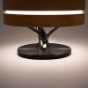 Интерьерная лампа с колонкой и беспроводной зарядкой Aronda, коричневый