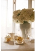 Чайник Diana с кристаллами, фарфор; кристаллы swarovski; позолота