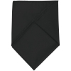 Шейный платок Bandana, черный, черный, полиэстер
