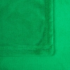 Плед Plush, зеленый, зеленый, полиэстер 100%, 240 г/м², длинноворсовый флис