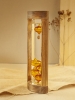 Термометр «Галилео» в деревянном корпусе, неокрашенный, дерево; стекло; металл