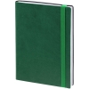 Ежедневник Vivian ver.1, недатированный, зеленый, зеленый, кожзам