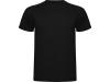 Спортивная футболка «Montecarlo» мужская, черный, полиэстер