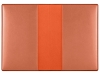 Обложка для паспорта «Favor», оранжевый, пластик