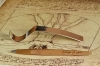 Вечная ручка Pininfarina Piuma LEONARDO PEAR WOOD, серебристый, сталь, дерево груша
