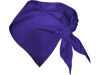Шейный платок FESTERO треугольной формы, фиолетовый, полиэстер