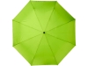 Складной зонт «Bo», зеленый, полиэстер