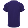 Спортивная футболка MONACO унисекс, ЛИЛОВЫЙ 3XL, лиловый
