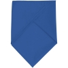 Шейный платок Bandana, ярко-синий, полиэстер