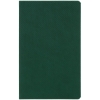 Ежедневник Grade, недатированный, зеленый, зеленый, кожзам