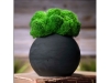 Кашпо бетонное со мхом «Сфера», черный, зеленый, бетон
