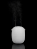 Переносной увлажнитель-ароматизатор PH14, белый, белый, пластик