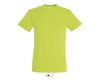 Фуфайка (футболка) REGENT мужская,Зеленое яблоко XXS, зеленое яблоко