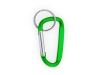 Брелок-карабин для ключей PALE, зеленый