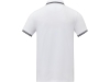 Рубашка поло «Amarago» мужская, белый, хлопок