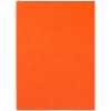 Ежедневник Flat, недатированный, оранжевый, оранжевый, soft touch
