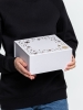 Коробка Frosto, M, белая, белый, картон